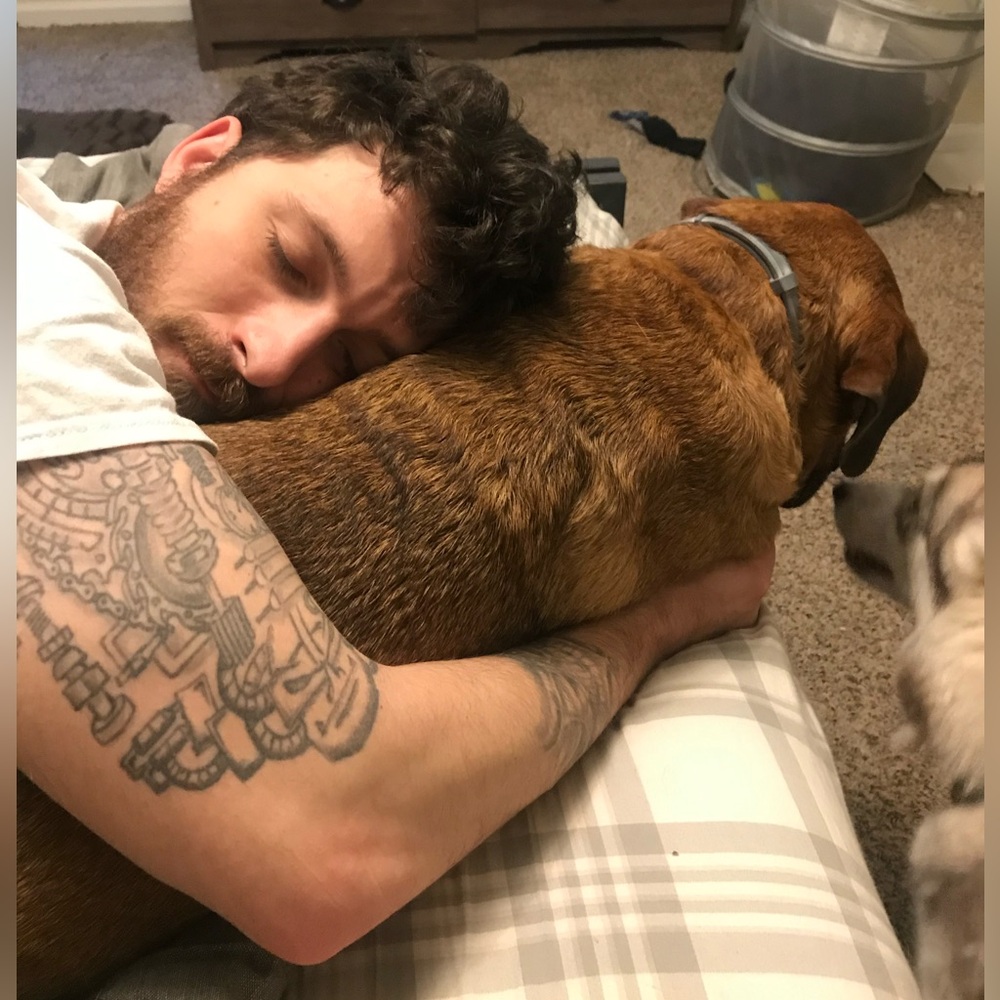 SORE IS LIVE! ✨🐾🦊 - Picture 5 of 9